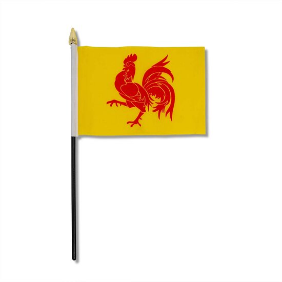 VLAG WALLONI&Euml;